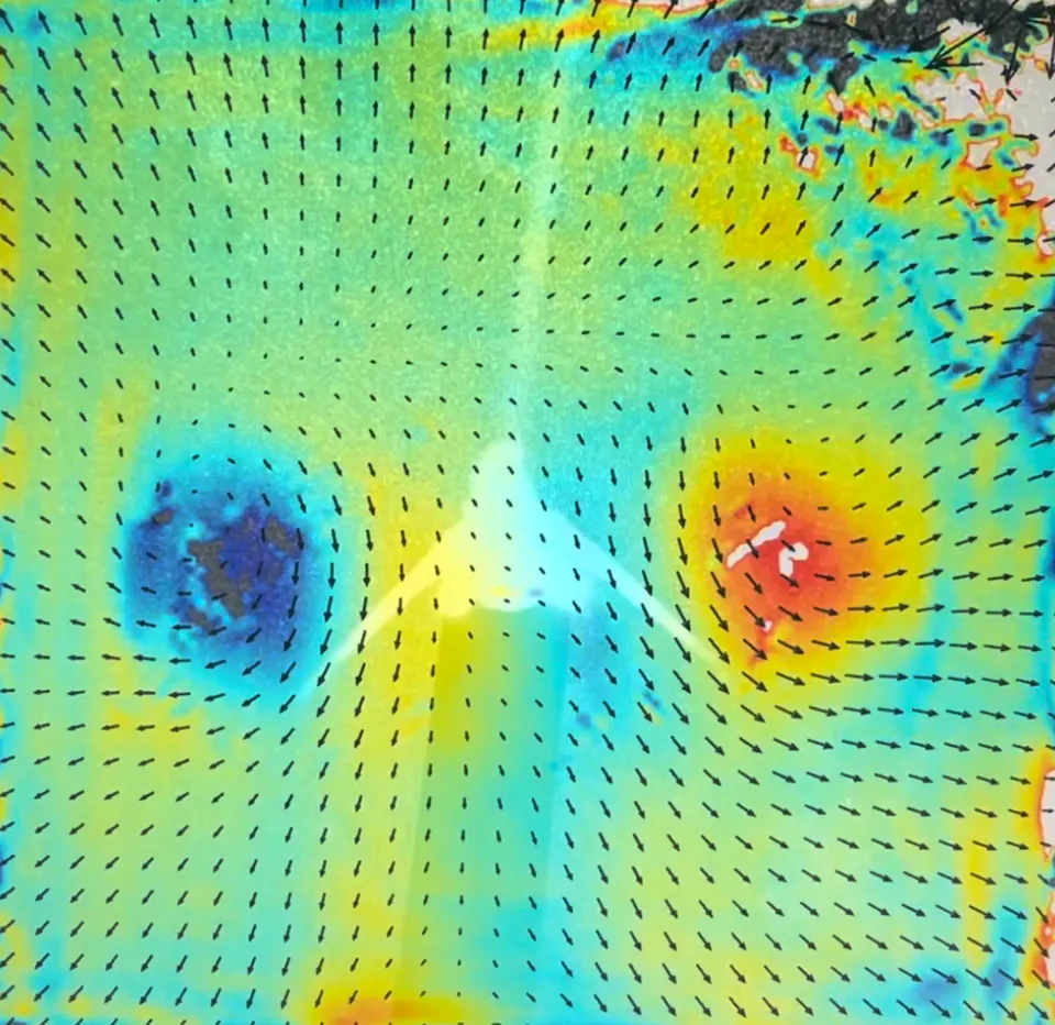 Particle image velocimetry (PIV) color map with arrows showing the motion of air in the wake of a bird's wings