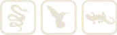 Powers Lab logo mark