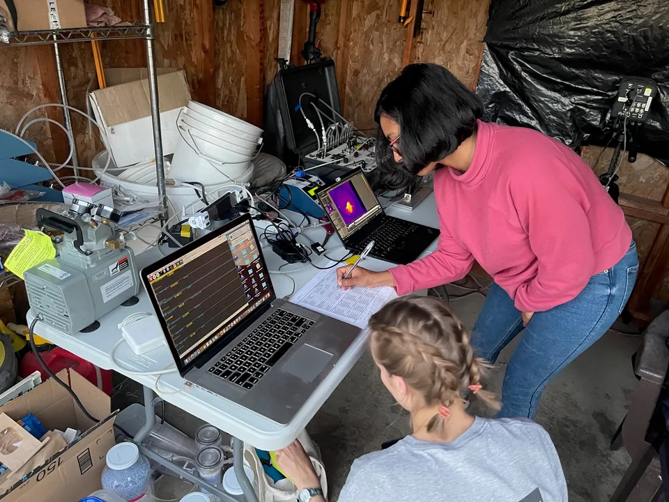 Dr. Anusha Shankar, standing, and research student Emily Blackwell recording overnight torpor data on laptops in a field lab