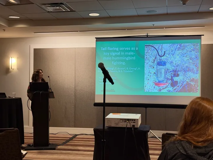 Rosalee Elting at the podium presenting her talk on tail flaring as a signal in male–male hummingbird fighting at SICB 2025